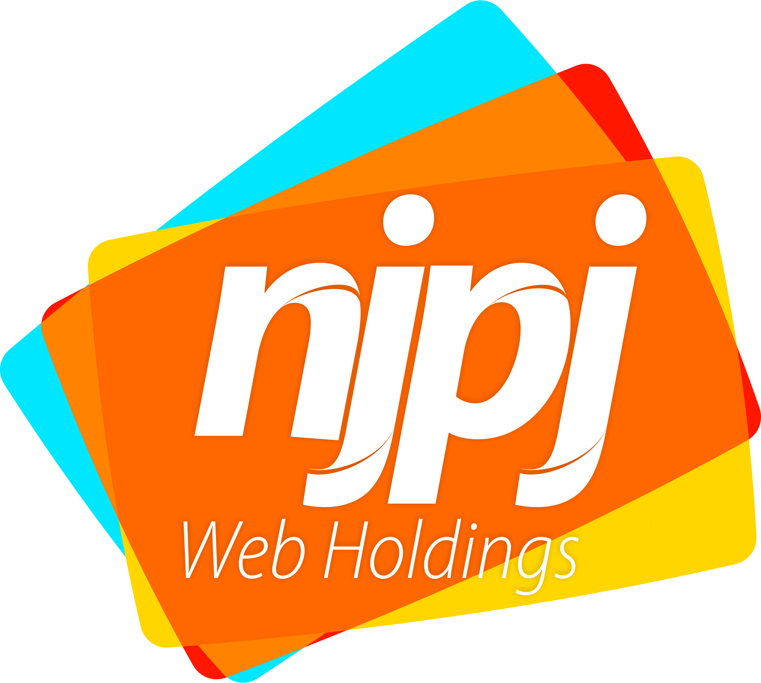 NJPJ Web Holdings